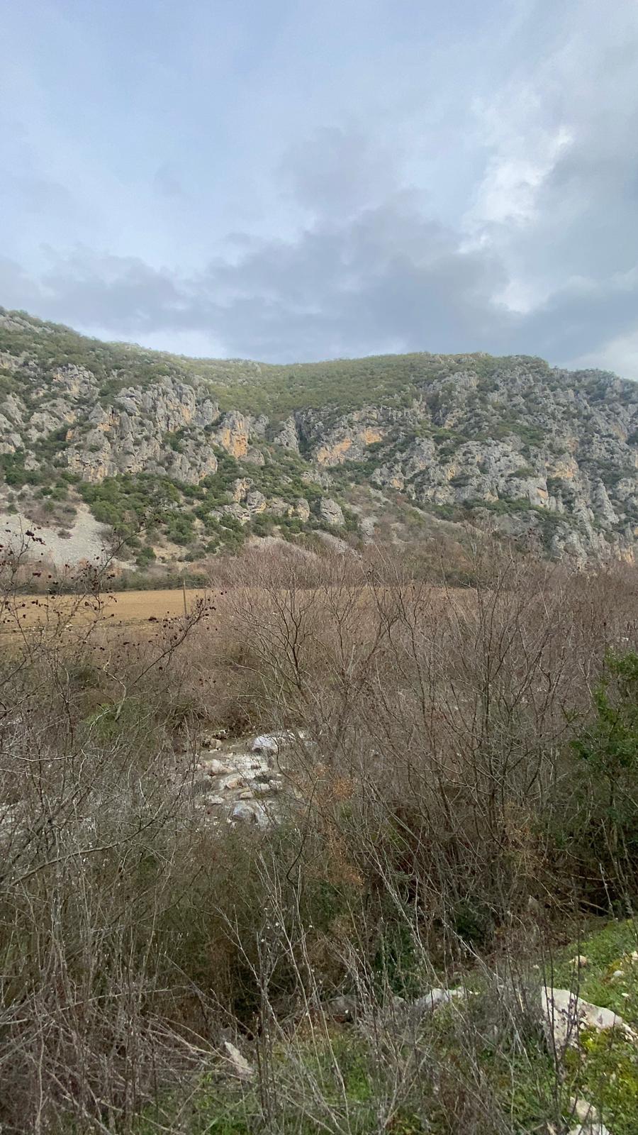 MABEL'DEN FIRSAT YATIRIMLIK DEV ARAZİ